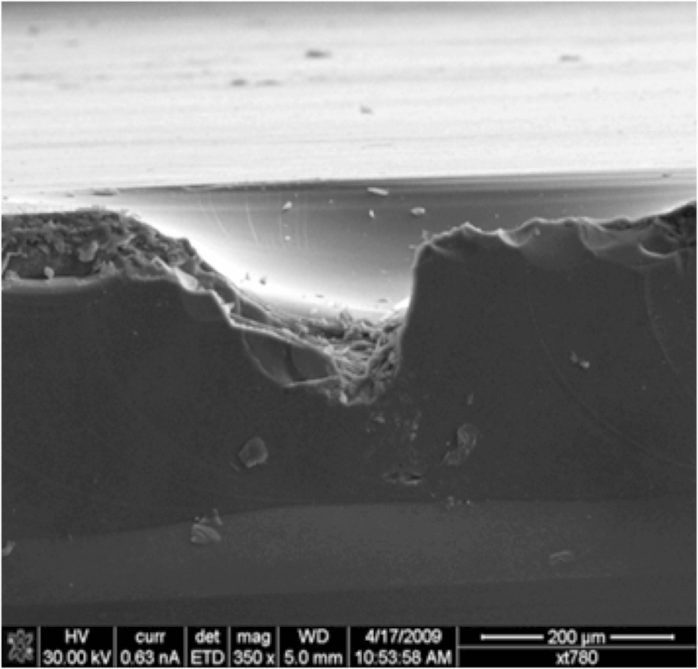 microscheur