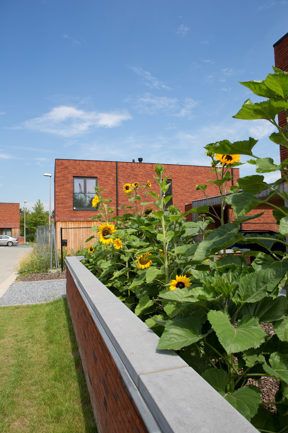 bouwindustrialisatie hasselt