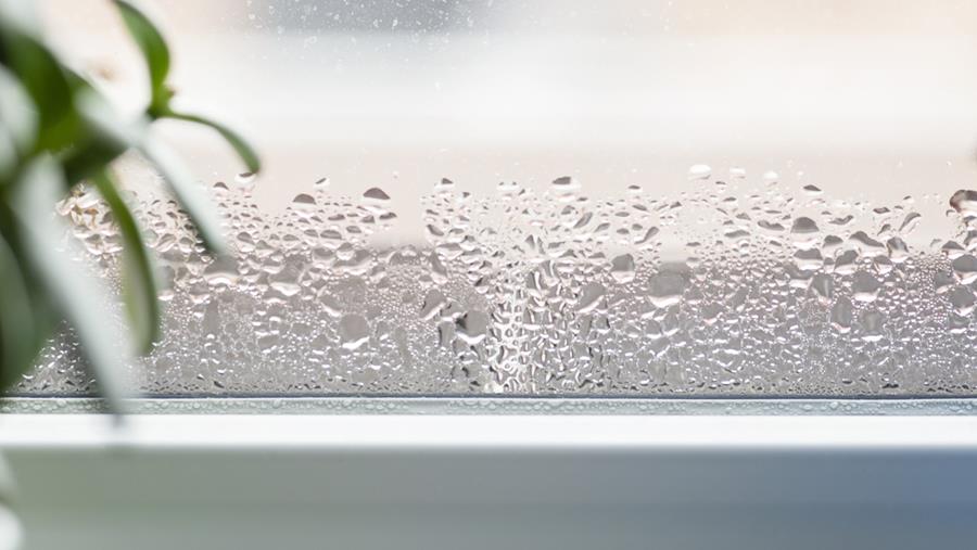 Bestrijd vocht in uw woning om schade aan uw gezondheid te voorkomen