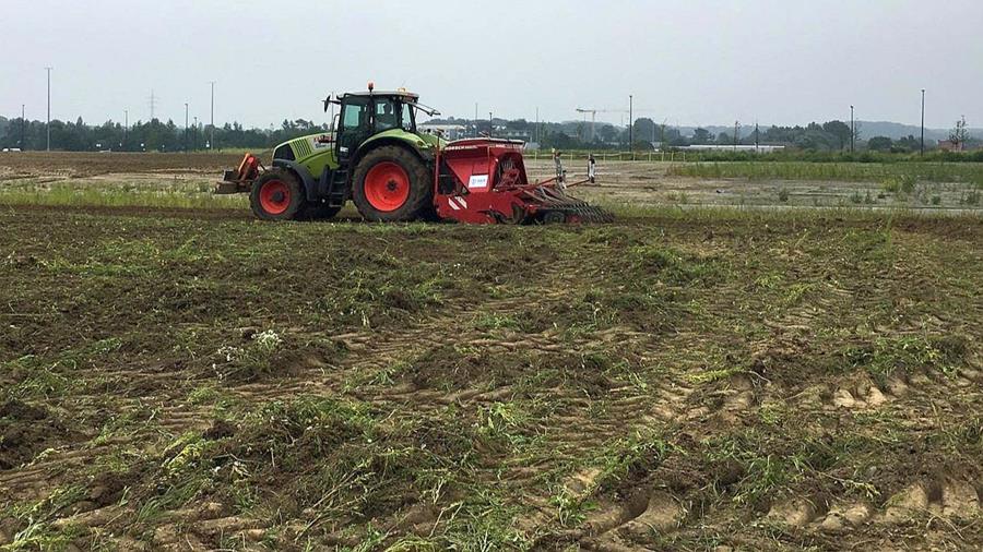 Industriële hennep op Eiland Zwijnaarde om circulaire isolatie te maken