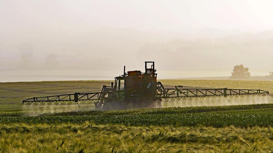 L'impact d'une utilisation réduite de pesticides serait limité
