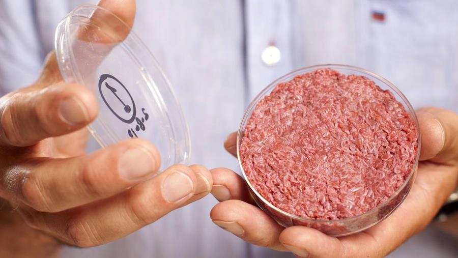 Autorisation de vendre de la viande de culture aux États-Unis
