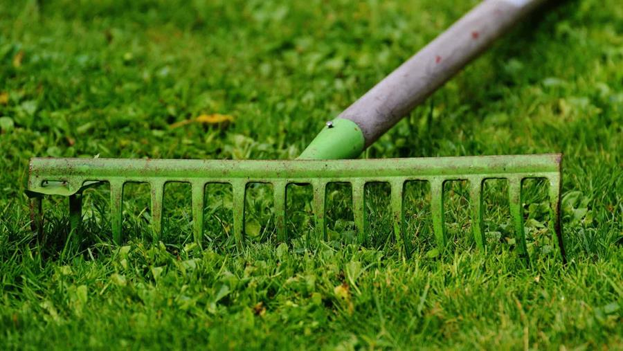 Outils à manche dans le jardin