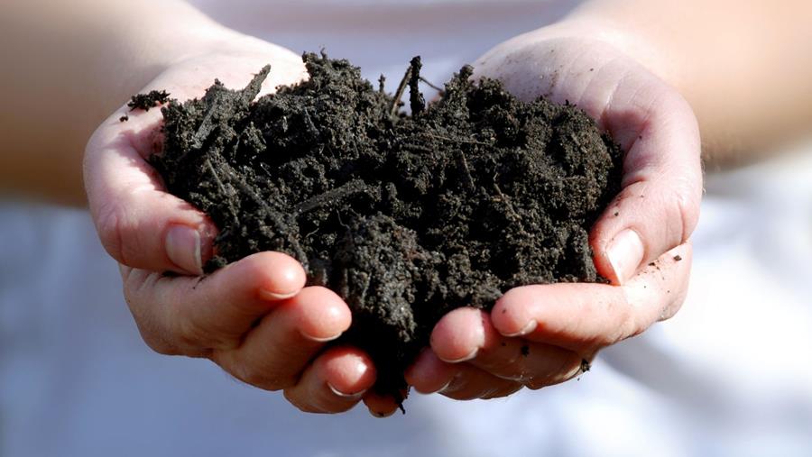 Compostage dans les espaces publics