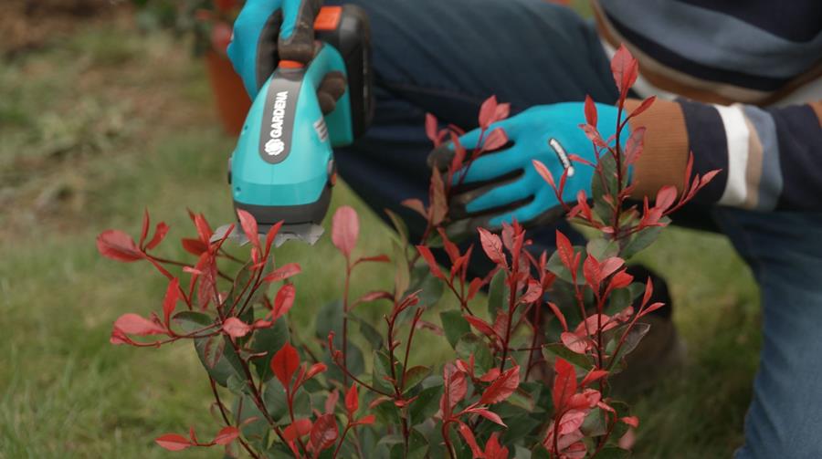 Comment rafraîchir votre jardin de devant?