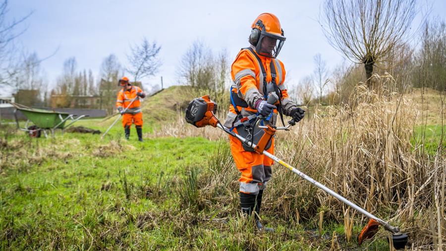 Le service Espaces verts de la Ville d'Anvers: les pionniers de l'écologisation urbaine
