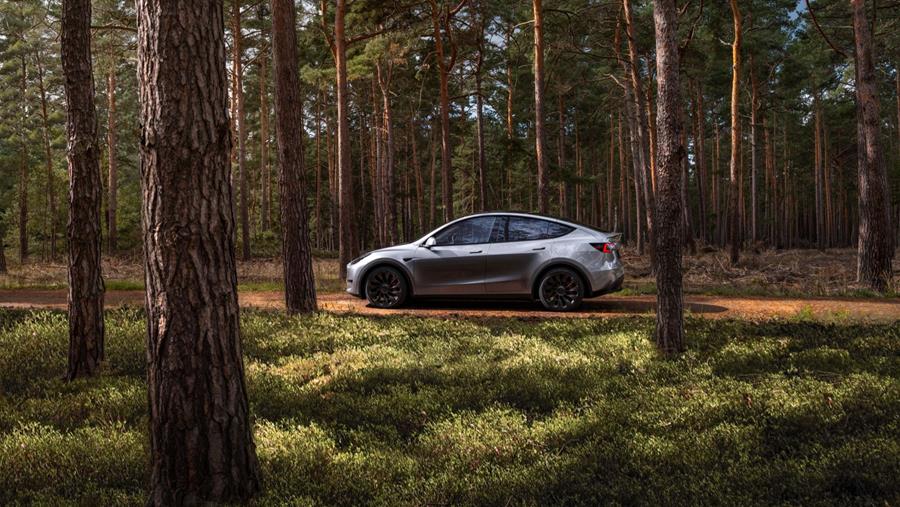 Bijna 100.000 nieuwe EV's ingeschreven tijdens eerste 9 maanden
