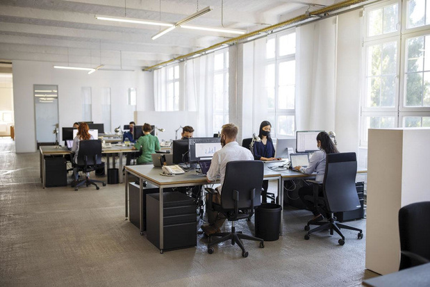Voici les "coordinateurs de retour au travail"... 