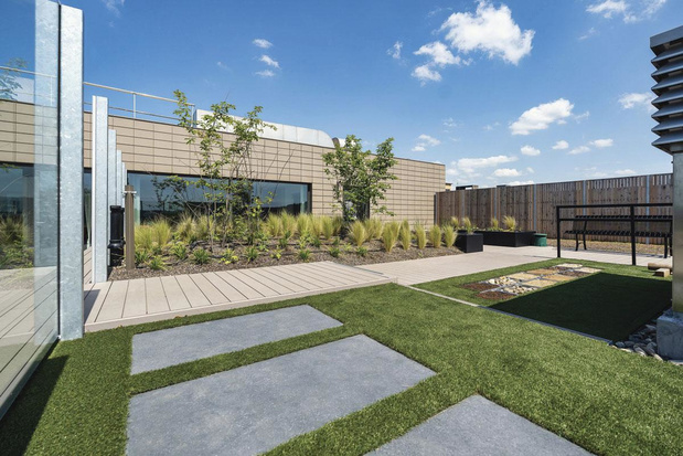 Un jardin palliatif sur le toit 