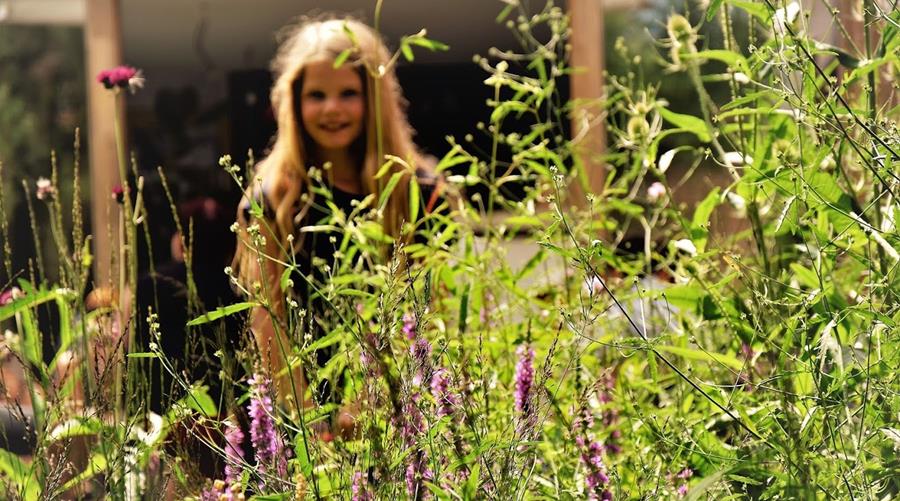 L'avance des jardins écologiques est inévitable