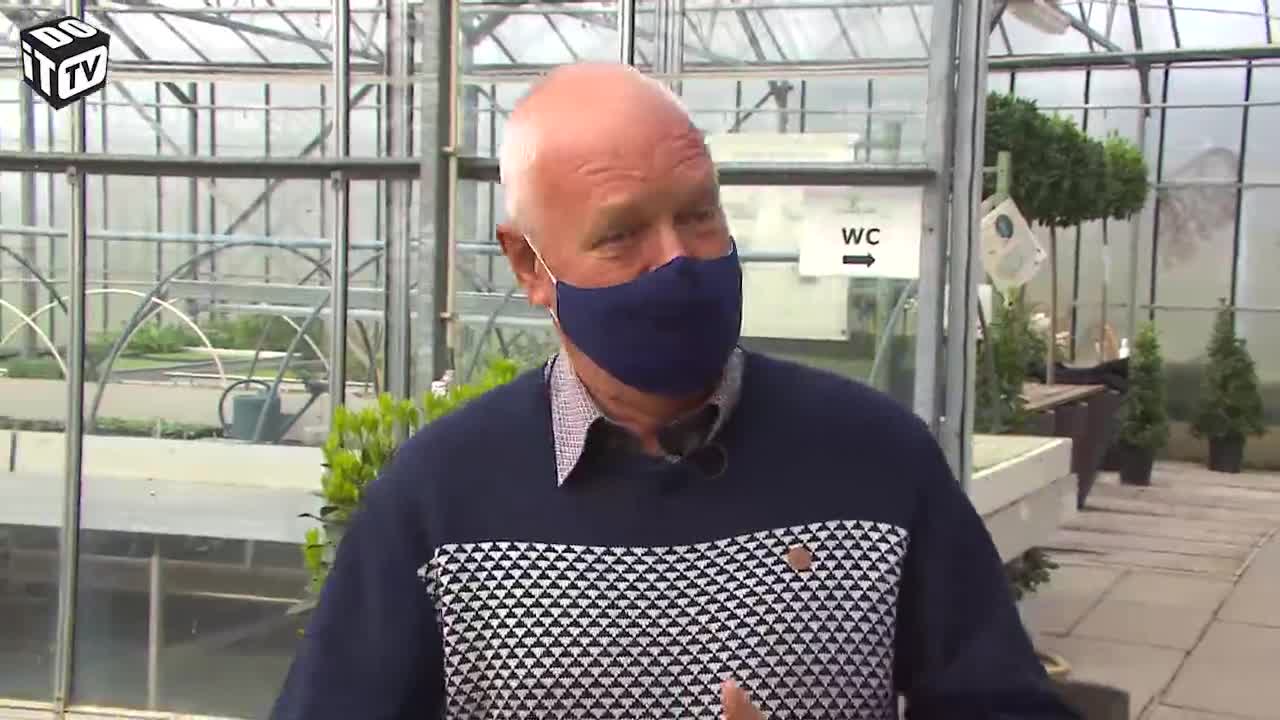 Vergeten kruiden en hoe ze uit te planten?